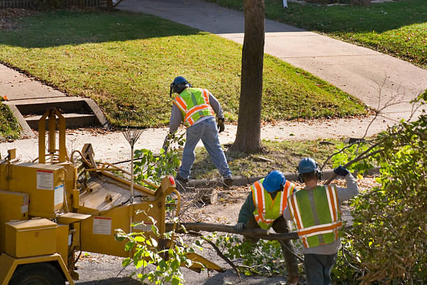 Best Landscape Design and Installation  in Cottage Grove, MN